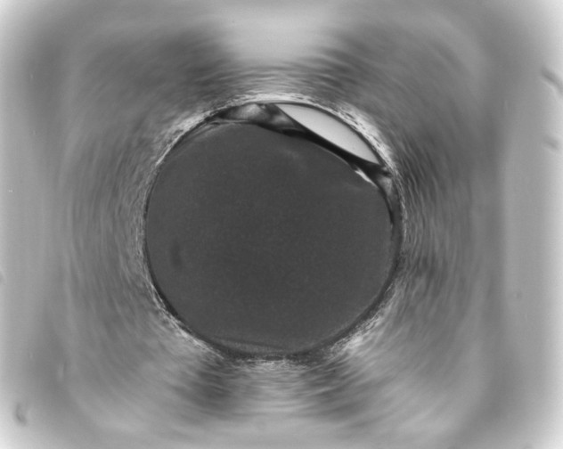 X0000093750385200710301129