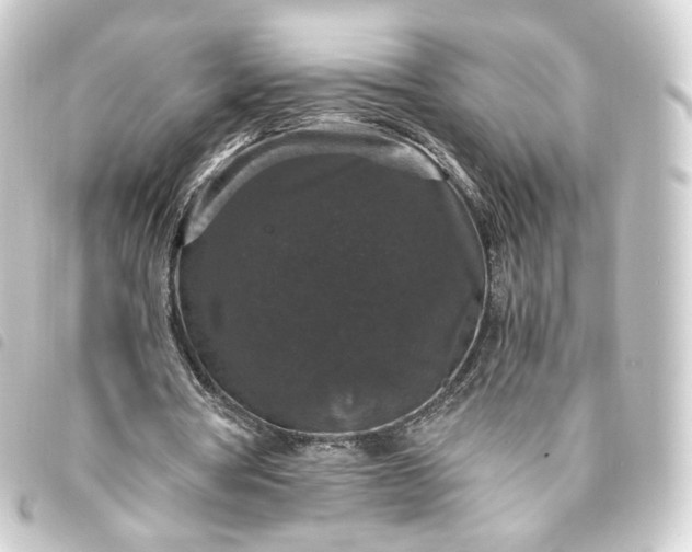 X0000093750386200710301129