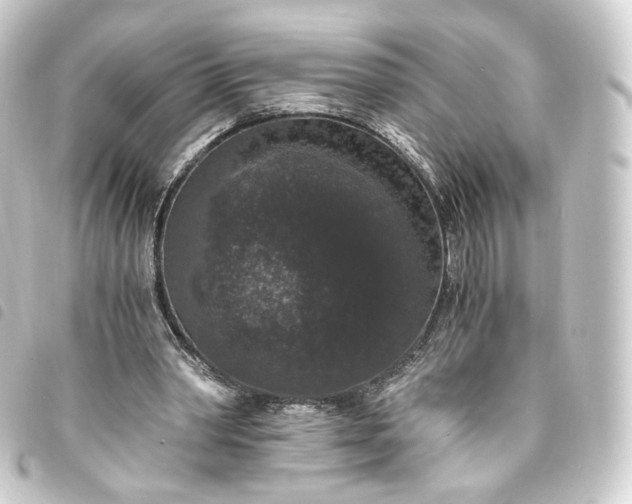 X0000093750390200710301129