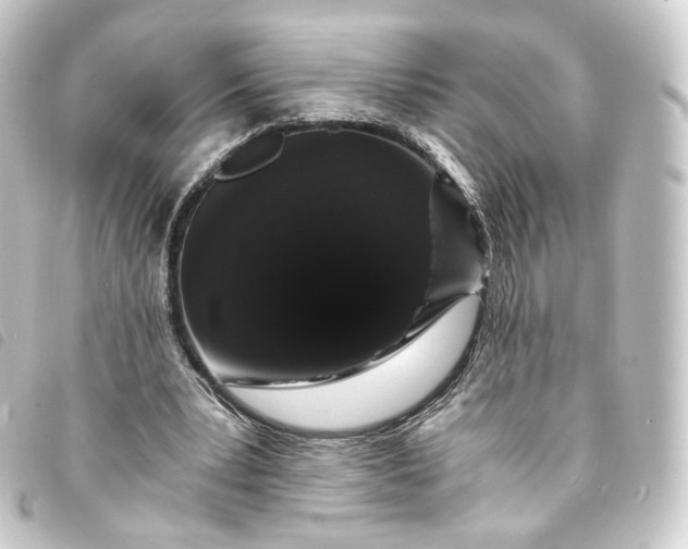 X0000093750391200710301129