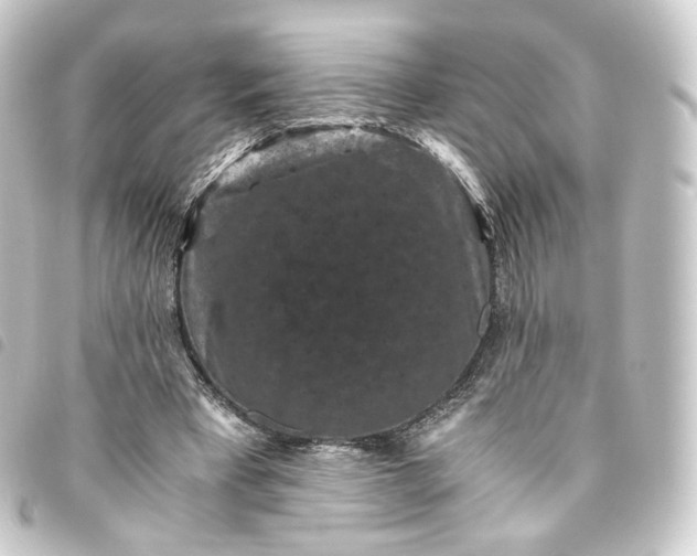 X0000093750393200710301129