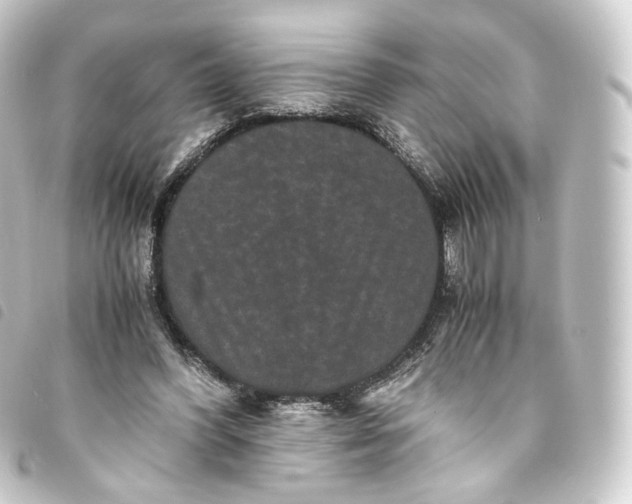 X0000093750396200710301129