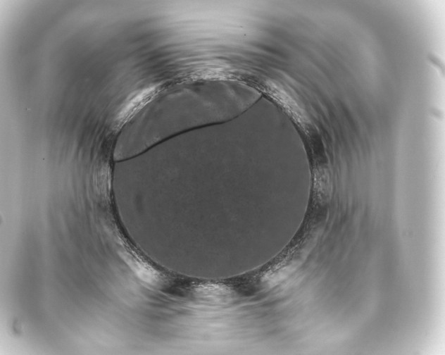 X0000093750397200710301128