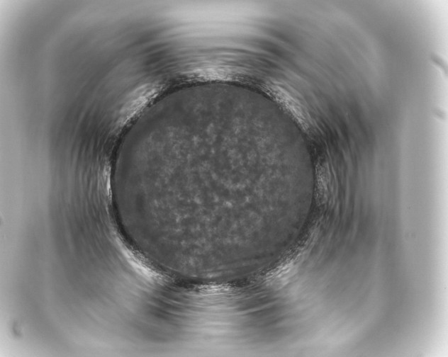X0000093750398200710301128