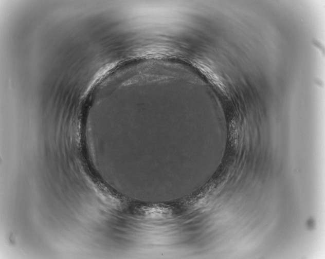X0000093750400200710301128