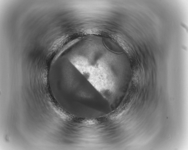 X0000093750402200710301128