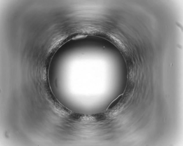 X0000093750403200710301128