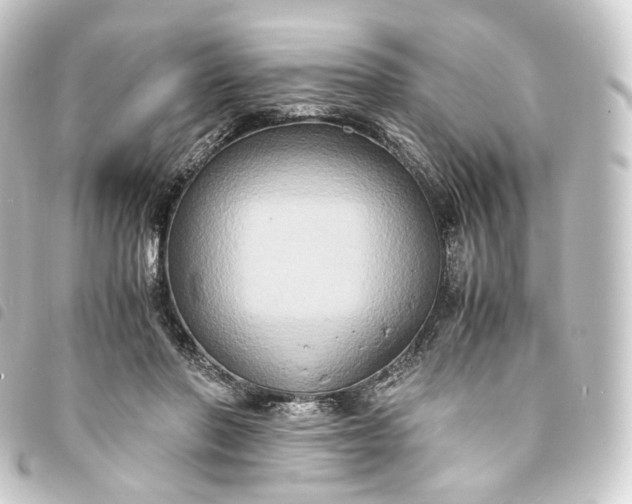 X0000093750406200710301128