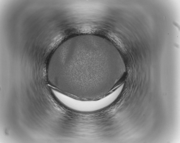 X0000093750407200710301128