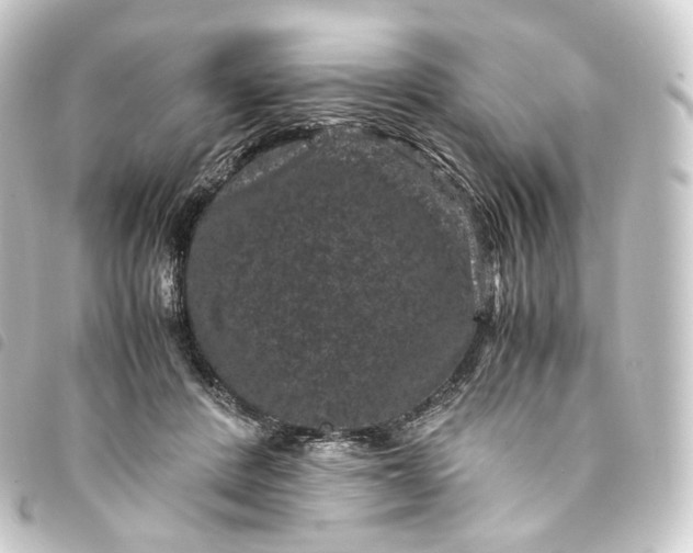 X0000093750408200710301128