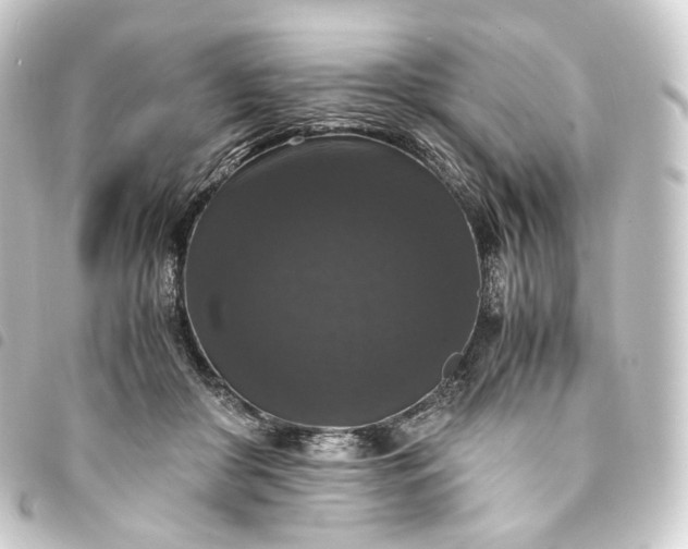 X0000093750410200710301128