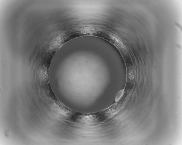 X0000093750411200710301128