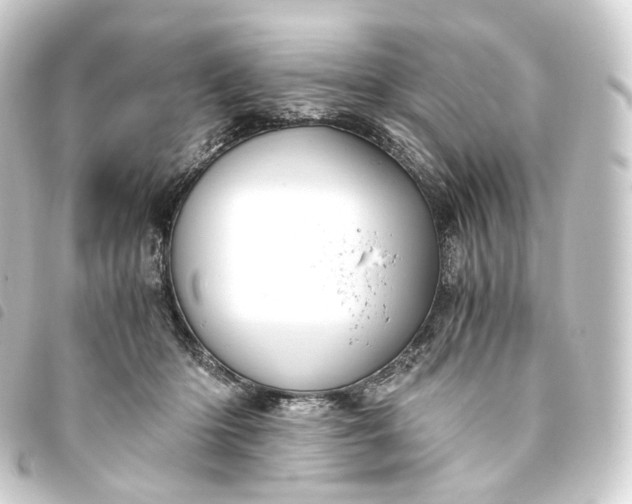 X0000093750414200710301128