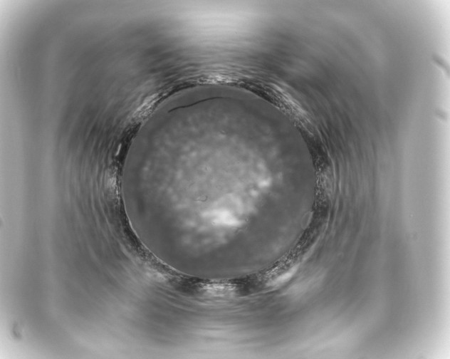 X0000093750415200710301128