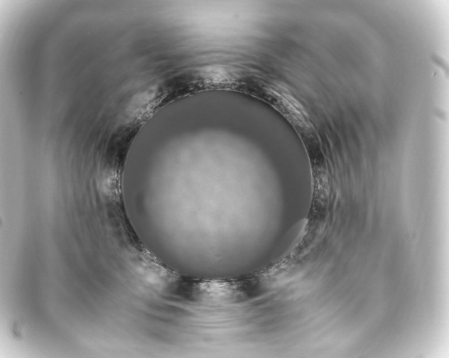 X0000093750419200710301128