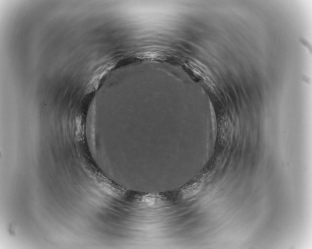 X0000093750420200710301128