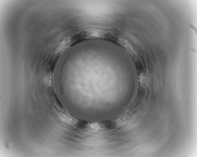 X0000093750423200710301128