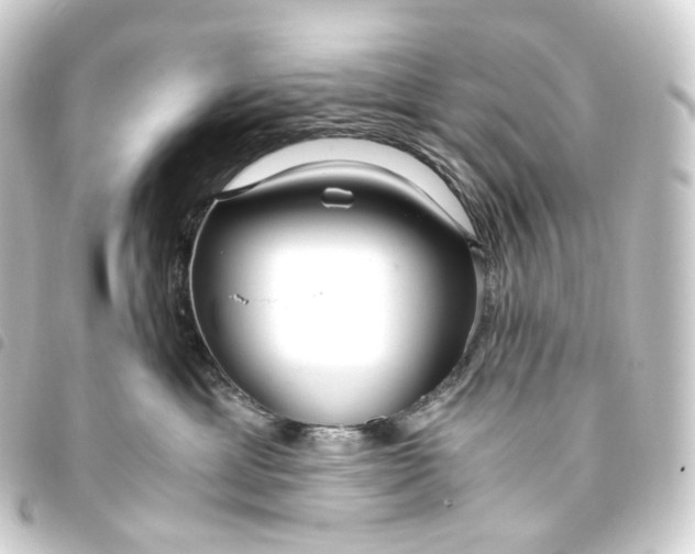X0000093750429200710301128