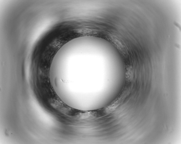X0000093750430200710301128