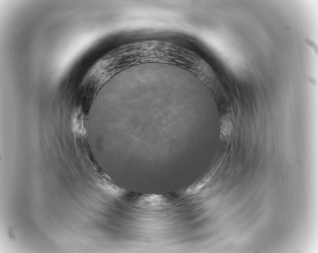 X0000093750431200710301128