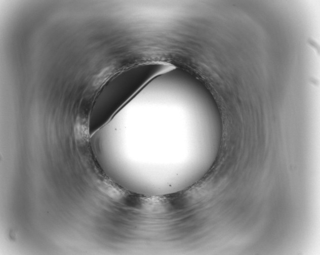 X0000093750432200710301128