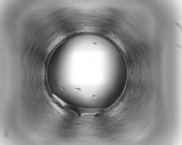 X0000093750437200710301127