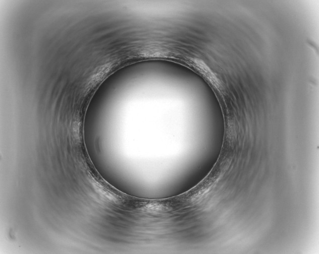 X0000093750441200710301127