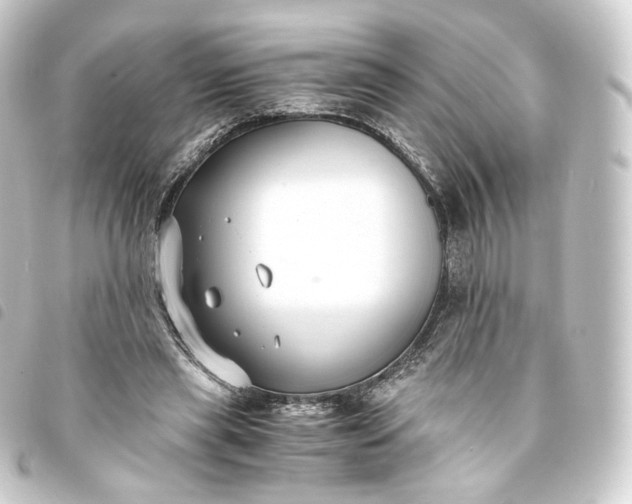 X0000093750445200710301127