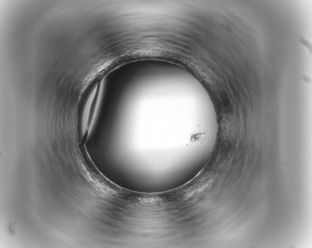 X0000093750446200710301127