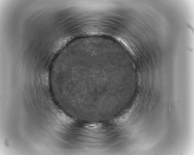 X0000093750447200710301128