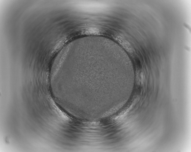 X0000093750449200710301128