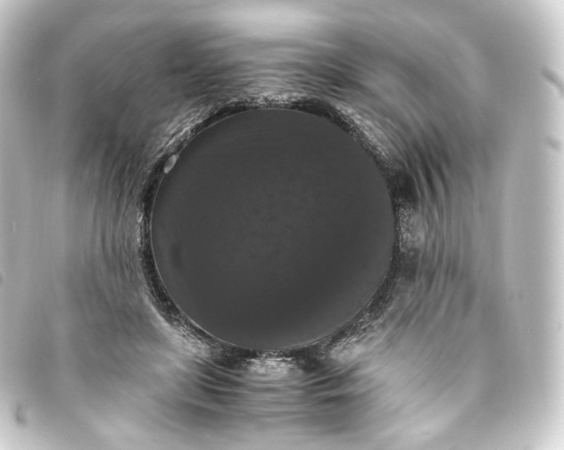 X0000093750451200710301128