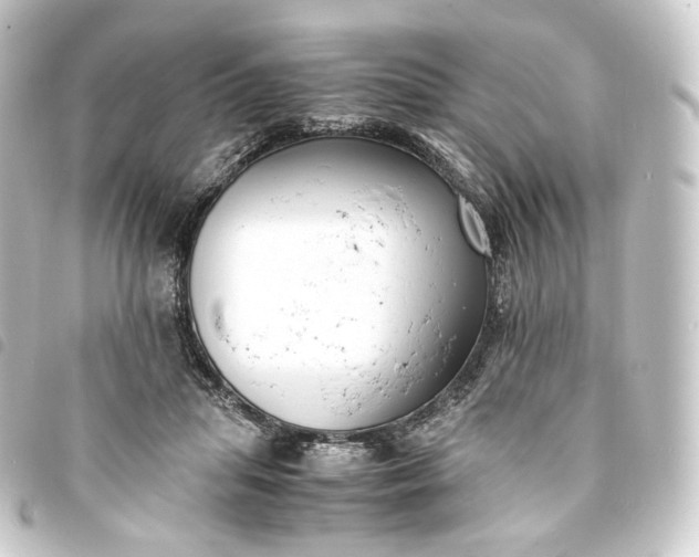 X0000093750455200710301128