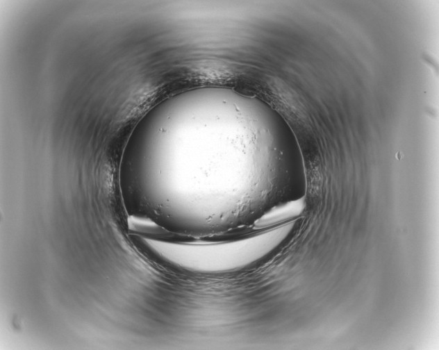 X0000093750456200710301128