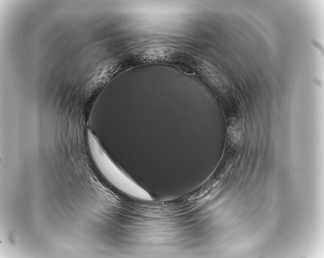 X0000093750458200710301128