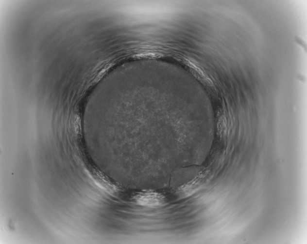 X0000093750459200710301128