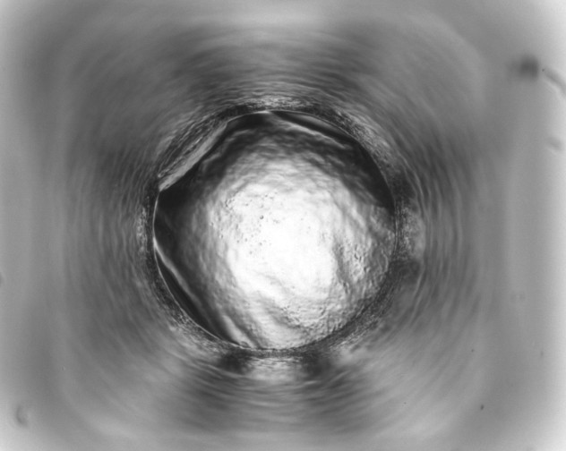 X0000093750461200710301128