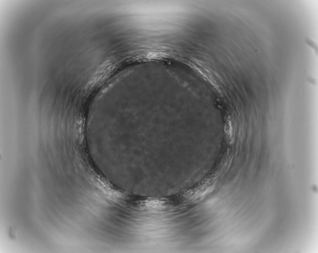 X0000093750462200710301128