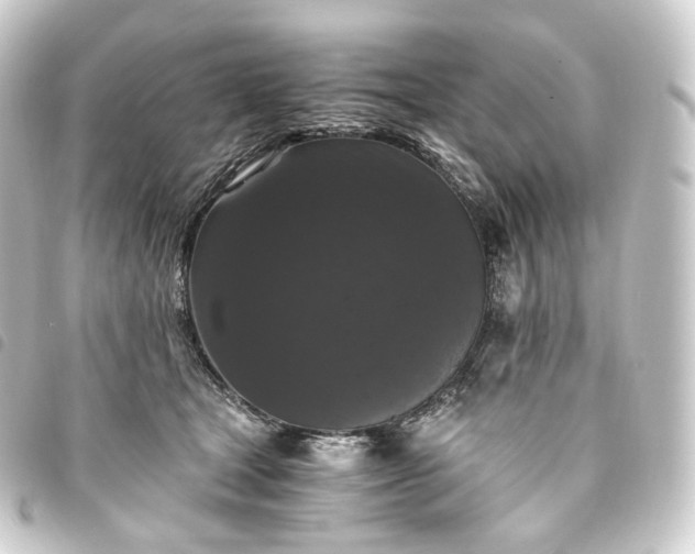 X0000093750465200710301128