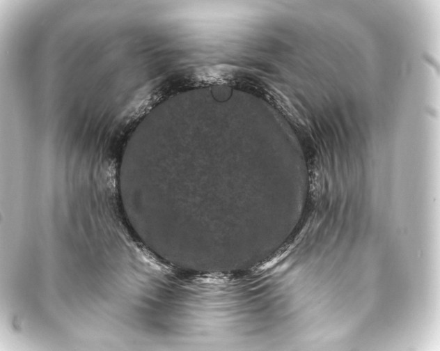 X0000093750466200710301128