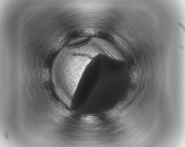 X0000093750467200710301128