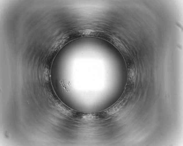 X0000093750470200710301128