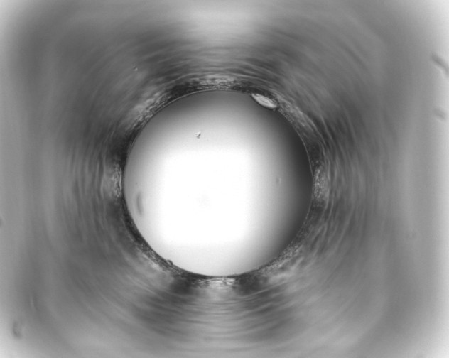 X0000093750474200710301128