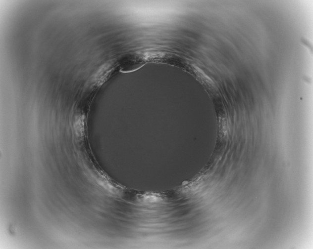 X0000093750475200710301128