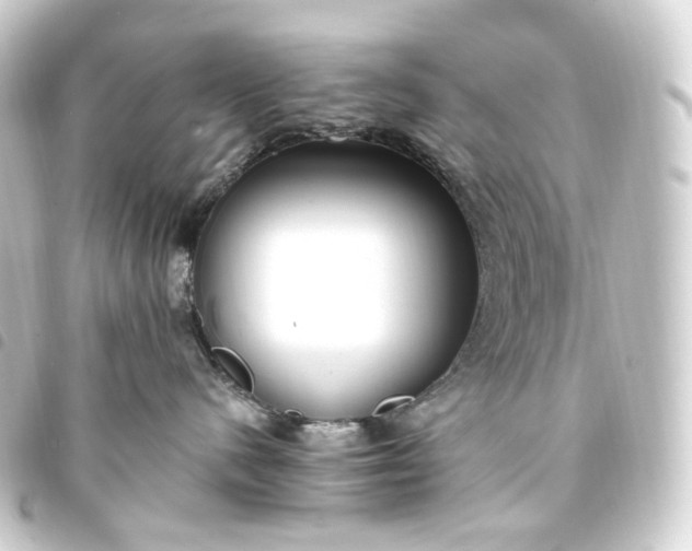 X0000093750480200710301128