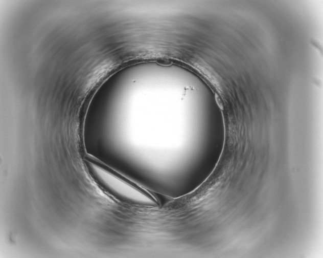 X0000093750485200710301127