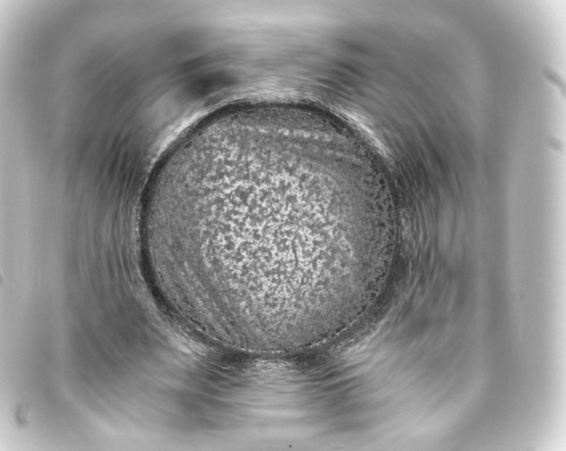 X0000093750487200710301127