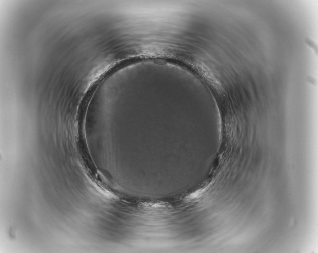 X0000093750488200710301127