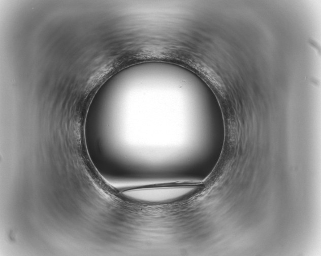 X0000093750489200710301127