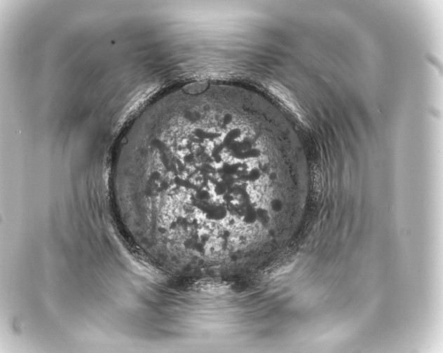 X0000093750491200710301127